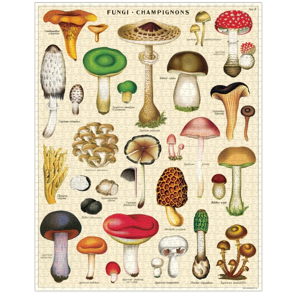 Cavalini & Co Mushrooms 1000 pc. Puzzle - Picture 2 of 2